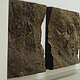 Rock and Scree Series (1977), British pavilion, Venice Biennale 1978
